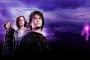 Daniel Radcliffe Almost Drowned Filming Underwater Scenes in Goblet of Fire