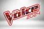 Jennifer Hudson, Michael Bublé, and CeeLo Green Return as Mentors on The Voice Season 29
