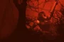 Evil Dead Franchise Revives Horror by Introducing New Characters Only