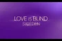 Love Is Blind Season 9 Reveals Casting Flaws and Experiment Strains