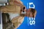 The Audacity Trailer Reveals Billy Magnussen’s CEO on Edge in Silicon Valley Drama