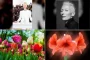Tilda Swinton Warns Cinema Must Avoid Formulaic AI Traps