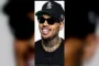 Chris Brown Ordered to Pay $13M Over Dog Attack at His California Home