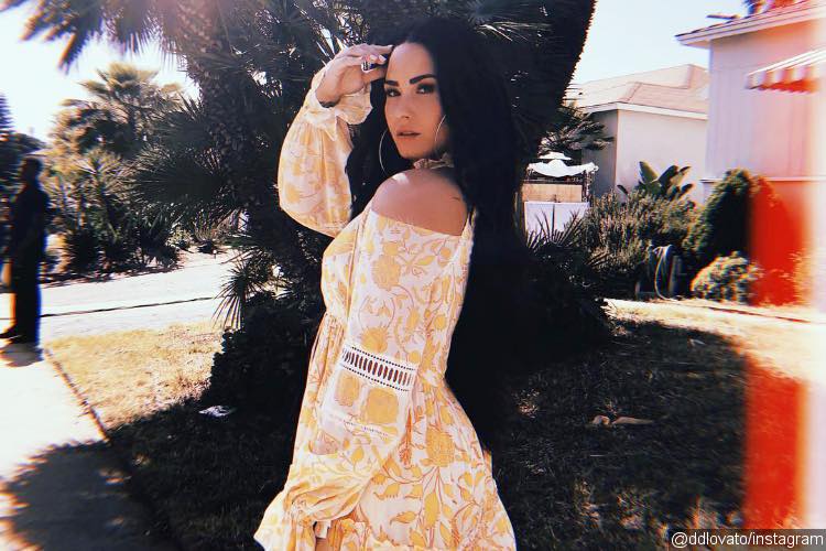 Demi Lovato Hits Back at Haters on Twitter