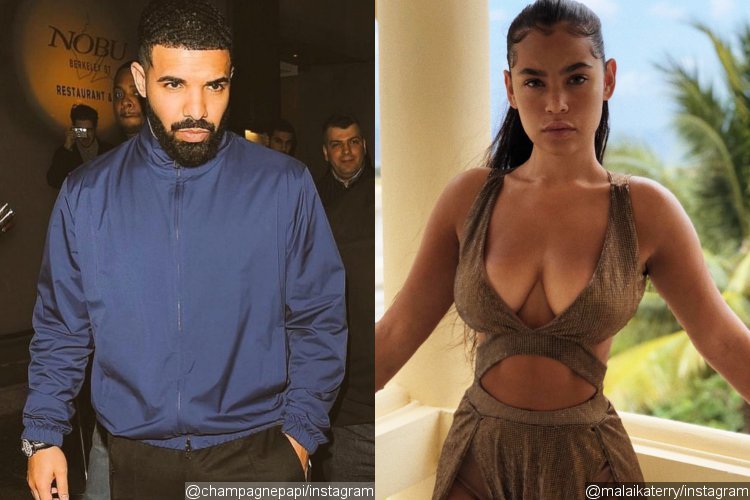 New Girlfriend? Drake Spotted Enjoying Romantic Stroll With Bikini Model Malaika Terry