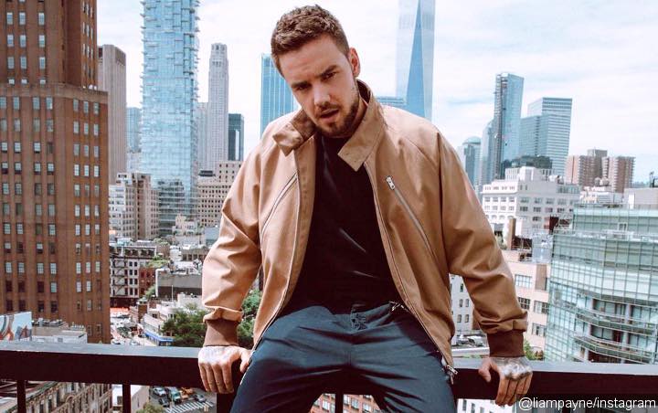 Liam Payne Mocked for Interview About Pride 2018