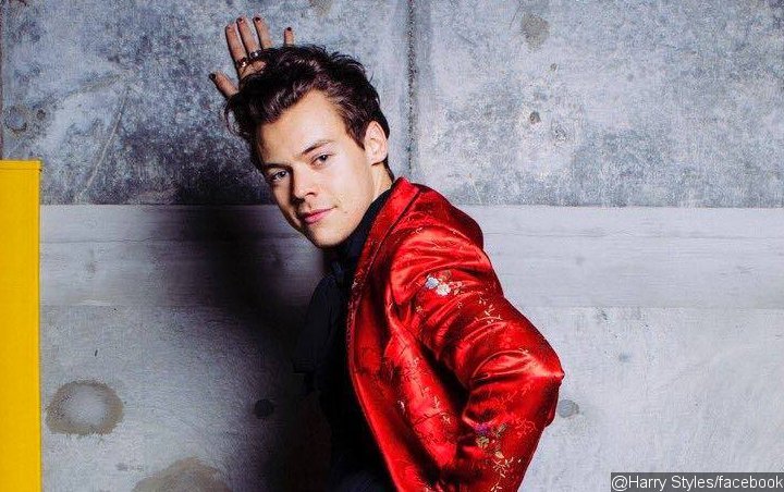 Harry Styles Used to Live in Attic for Nearly 2 Years