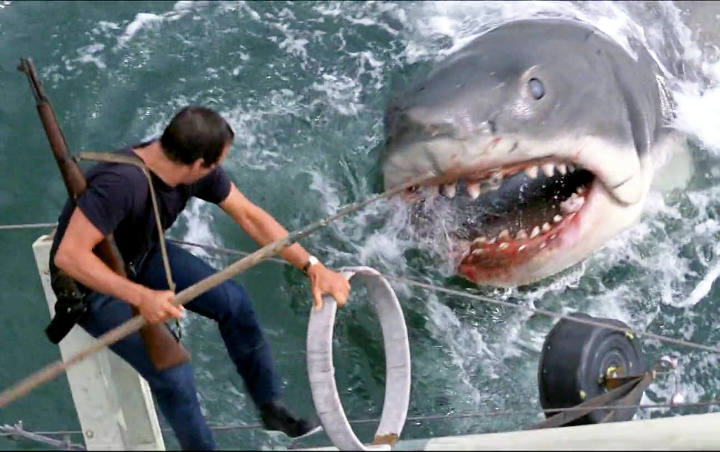 'Jaws' Devours Other Shark Movies in Online Poll