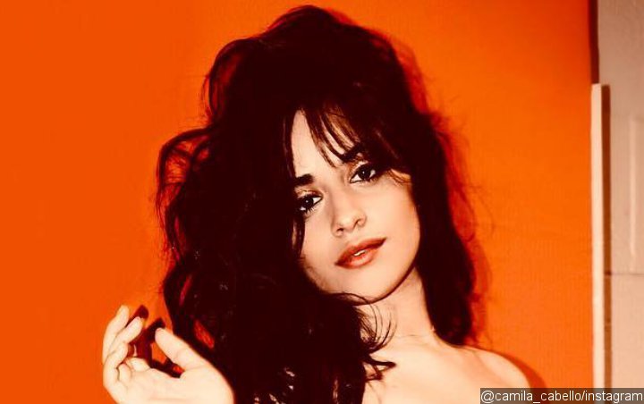 Camila Cabello Warns Fans Not to Be Crazy Over Pregnancy Speculation