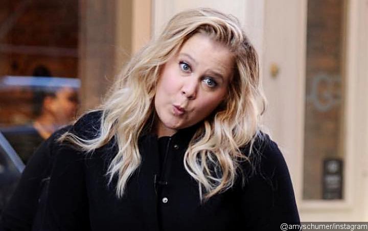 Amy Schumer Has Gone Back to Work After Battle With Severe Morning Sickness