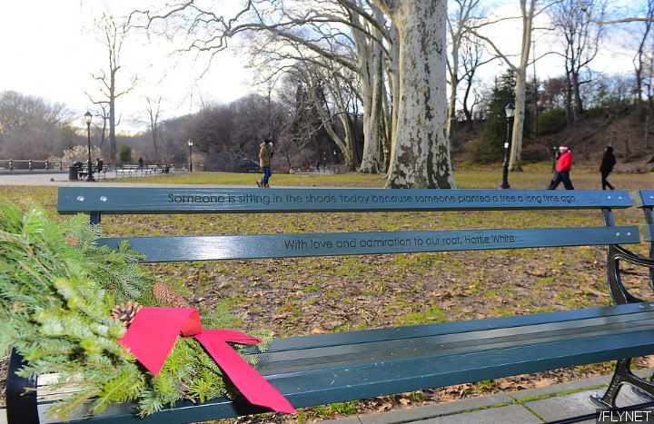 Beyonce and Jay-Z Show Christmas Gift for His Grandmother at the Park