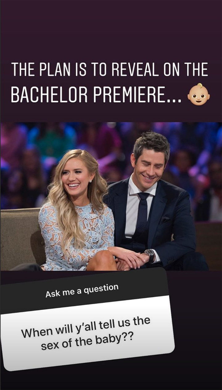 Arie Luyendyk Jr.