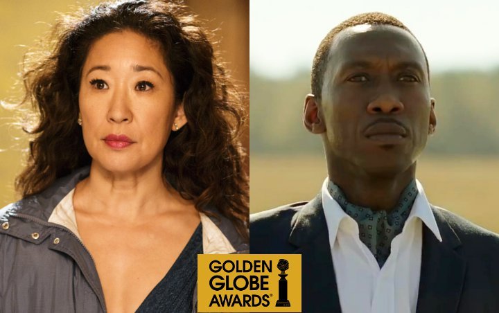 2019 Golden Globes,Sandra Oh,Best TV Actress,Green Book,Mahershala Ali,Best...