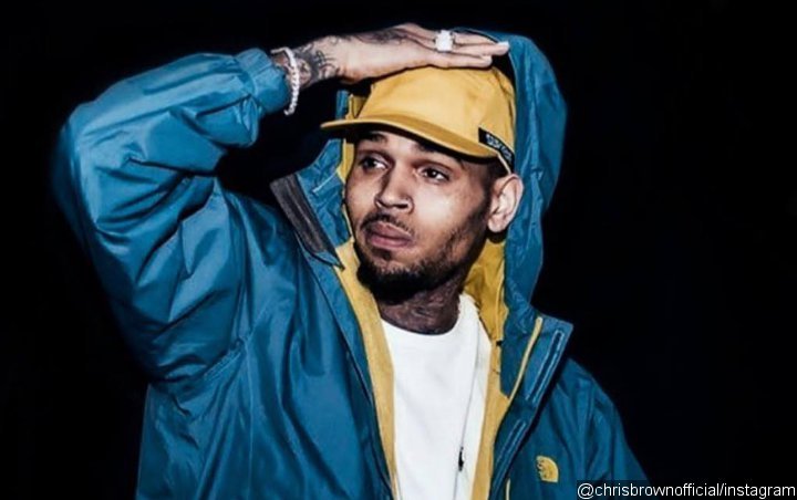 Chris Brown Gets Sanctioned in Legal Battle With Ex-Manager 