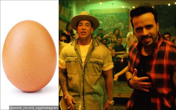 Viral Egg Photo Dethrones 'Despacito' Music Video as Most-Liked Internet Post of All Time