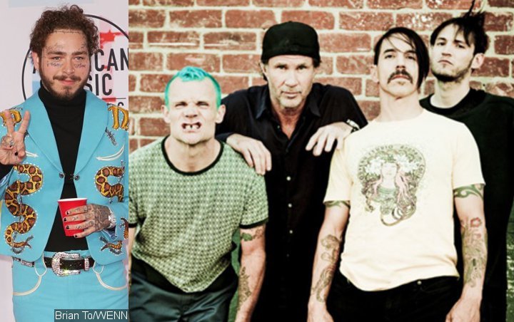 Red hot chili peppers dark. RHCP Black Summer. Гитарист Red hot Chili Peppers - Dark necessities.
