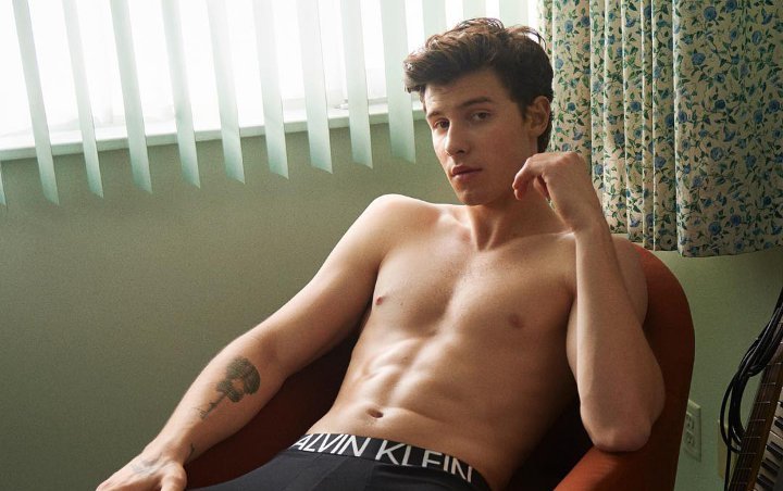 Shawn Mendes Sends Internet Into Frenzy With Shirtless Calvin Klein Ad Campaign
