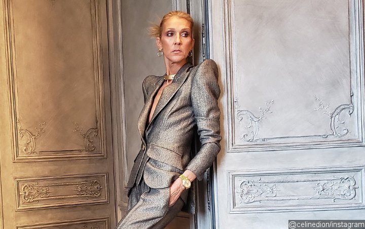 Celine Dion Gives Thumbs Up to Nephew-Written Biopic