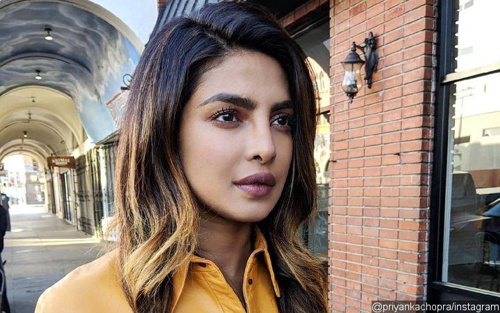 Priyanka Chopra's Support for India's Airstrikes Prompts Calls for Removal From UN Role