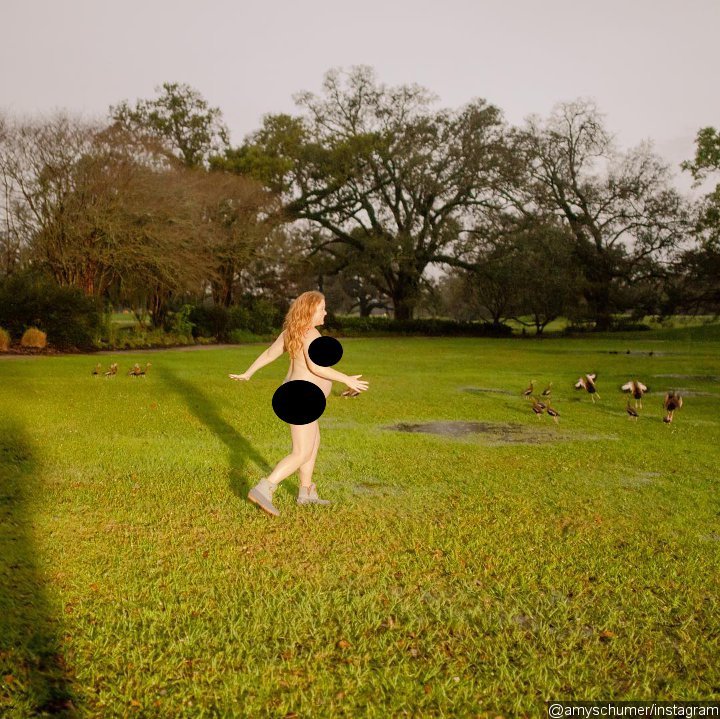 Amy Schumer's Naked Pregnancy Photo Shoot