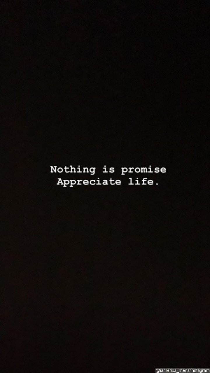 Erica Mena's Instagram Stories.