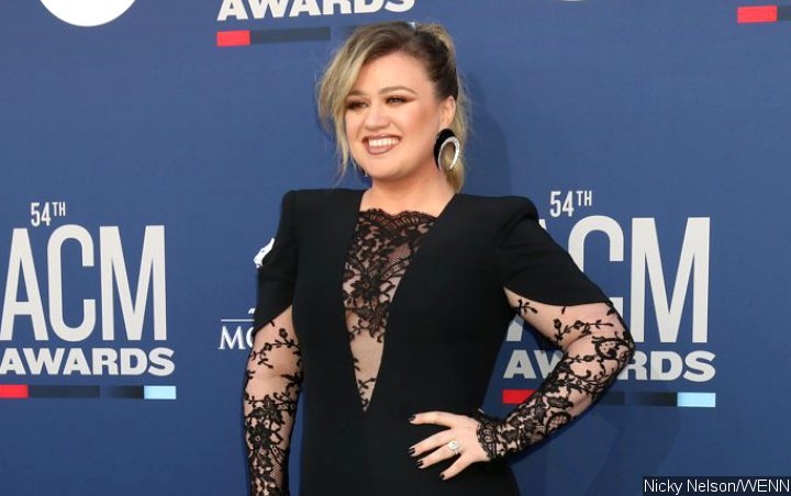 Kelly Clarkson: Being Mistaken as Seat Filler at 2019 ACM Awards Made ...