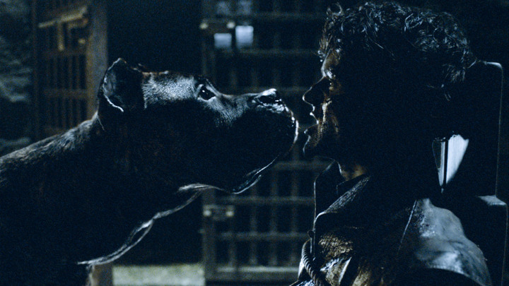 Ramsay Snow