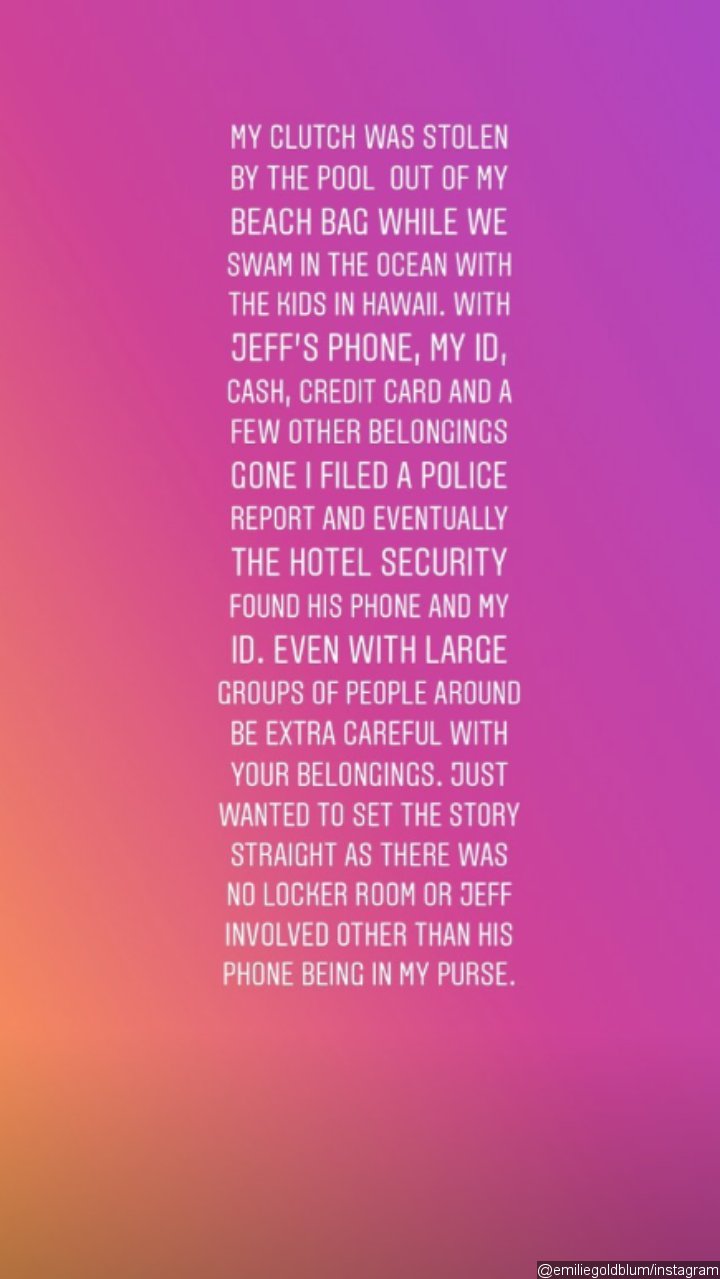 Jeff Goldblum and Wife's Personal Items Stolen in Hawaii