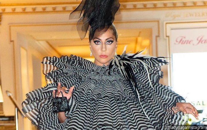 Lady GaGa Steps Out in Outlandish Outfit for Pre-Met Gala Dinner