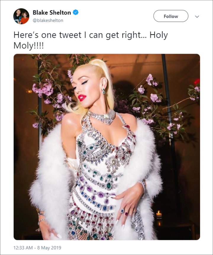 Blake Shelton Gushes About Girlfriend Gwen Stefani