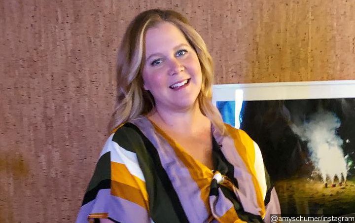 Amy Schumer Mom-Shamed for Returning to Work Quickly After Giving Birth: 'That's Insane!'