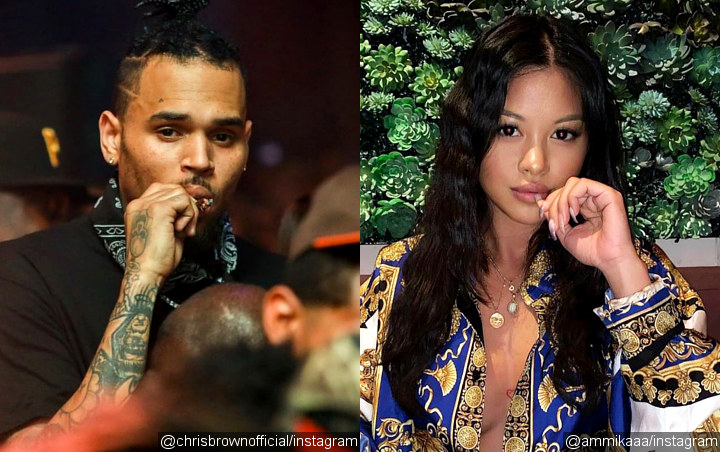Is Chris Brown Confirming Girlfriend Ammika Harris' Pregnancy Rumors?