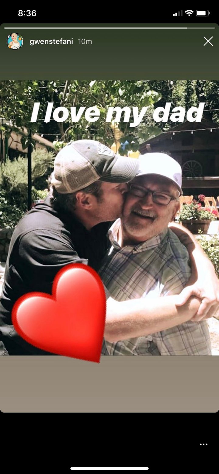 Gwen Stefani's Instagram Stories.