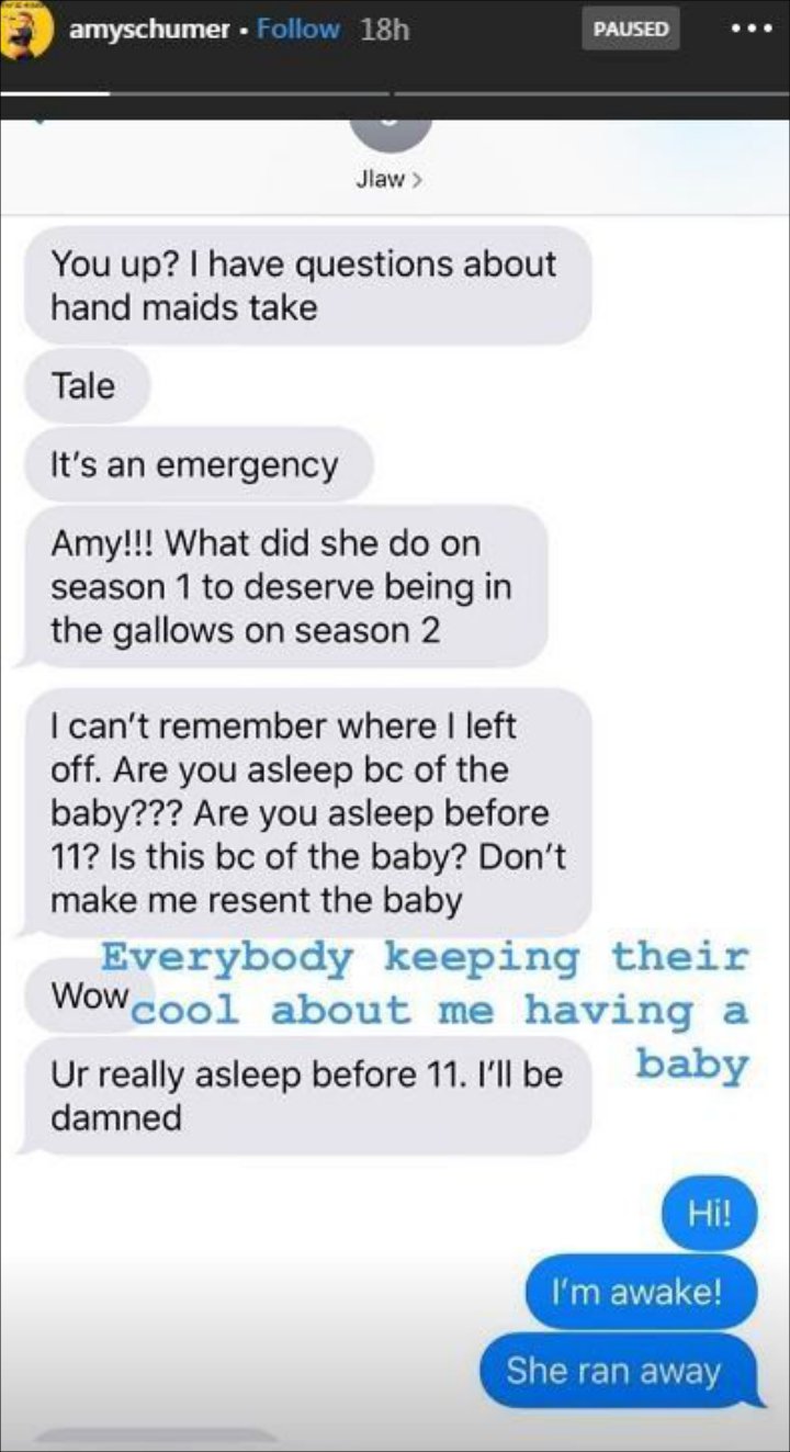 Amy Schumer's Instagram Stories.