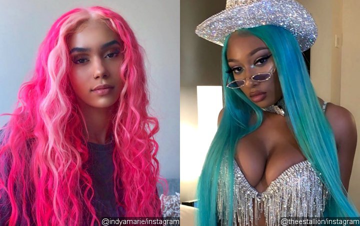 Is Chris Brown's Ex Indyamarie Dating Megan Thee Stallion Now?