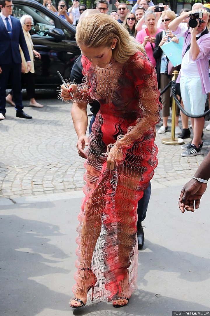 Celine Dion Narrowly Avoids a Tumble in Her Raunchy Mesh Dress During Paris Fashion Week
