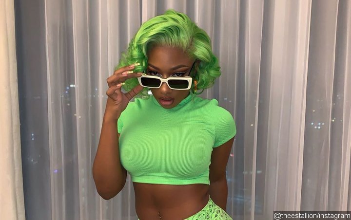 Megan Thee Stallion Roasts Hater for Trolling Her Height: 'What About It?'