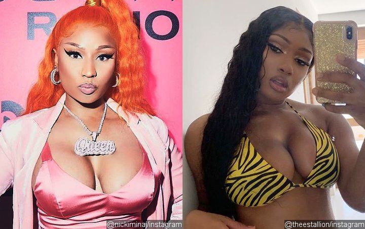 Nicki Minaj Leaves Thirsty Comment on Megan Thee Stallion's Bikini Pic