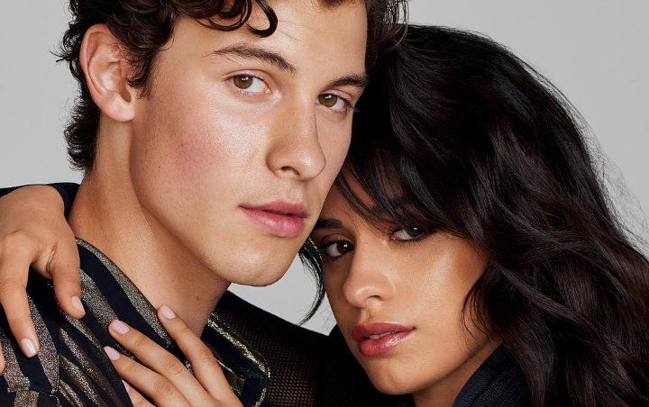 Shawn Mendes and Camila Cabello Steam Up Miami Beach With PDA