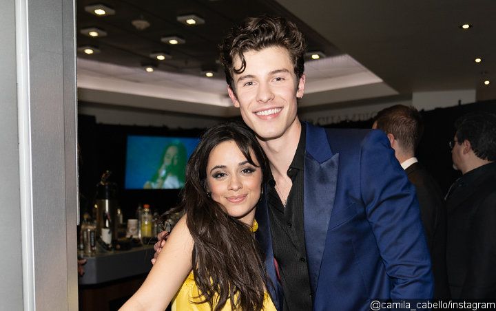 Video: Shawn Mendes and Camila Cabello Celebrate His 21st Birthday With Romantic Stroll