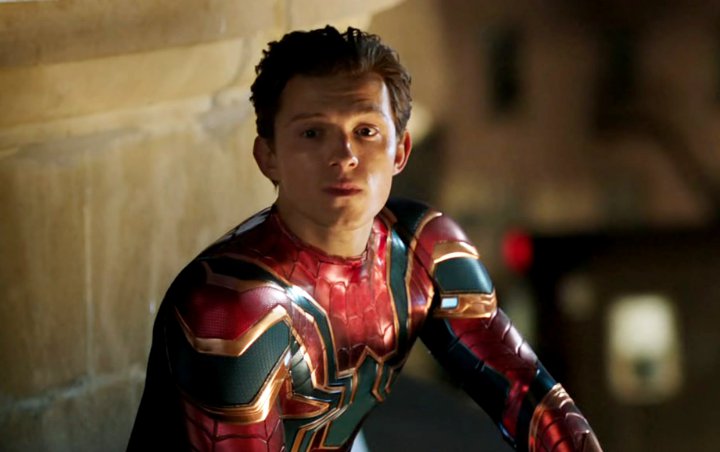 Tom Holland Declared Loyalty to MCU in Old Interview as