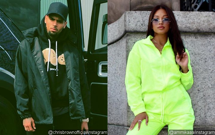 Chris Brown's Ex Ammika Harris Claps Back After Accused of Hiding Her 'Baby Bump'