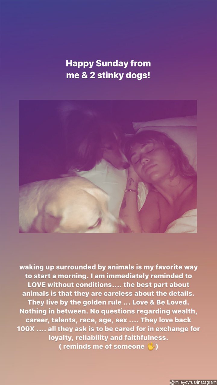 Miley Cyrus Posts About Unconditional Love