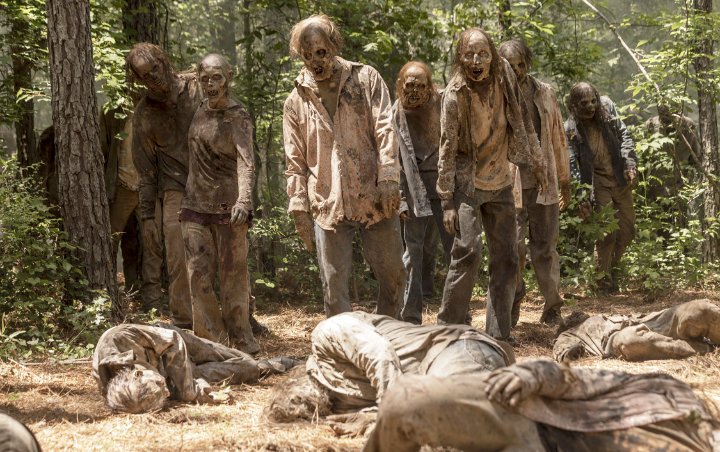 'The Walking Dead' Broadcaster Suing 'The Toking Dead' Creators
