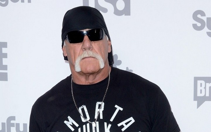 Hulk Hogan Left Shaken by Scary Emergency Airplane Landing