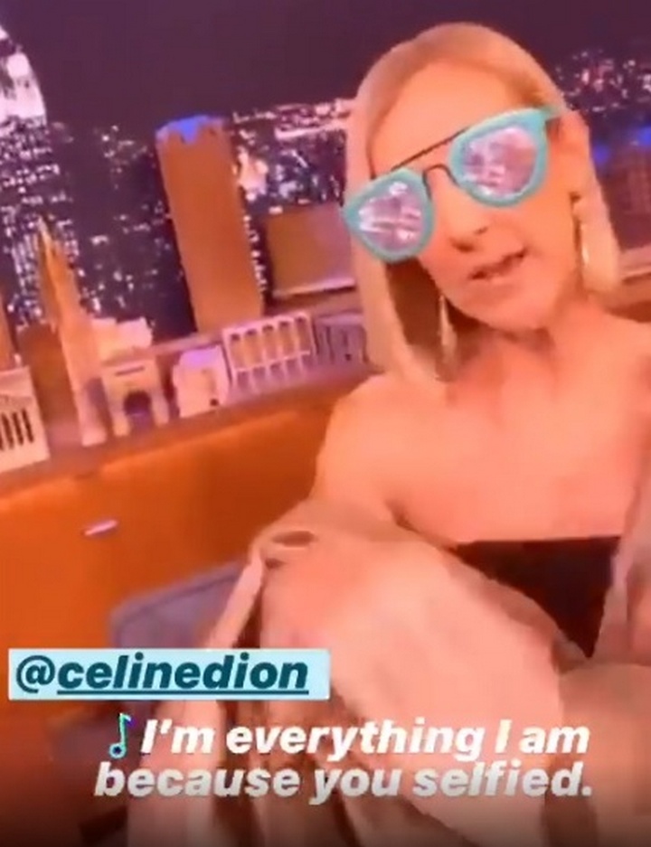 Celine Dion takes her first ever selfie