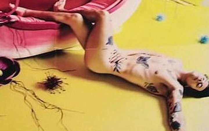 Harry Styles Poses Naked for New Solo Album Artwork