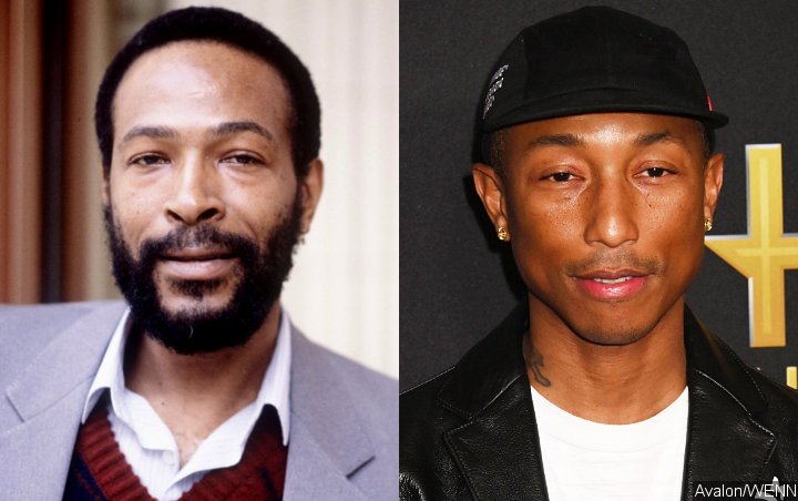 Marvin Gaye Family Claims in Court That Pharrell Williams Committed Perjury  – The Hollywood Reporter