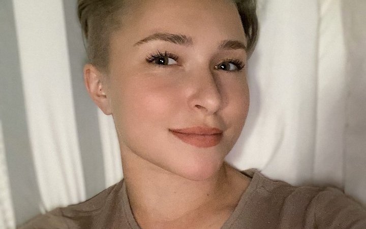 Hayden Panettiere Shows Pixie Haircut Months After Alleged Domestic Violence