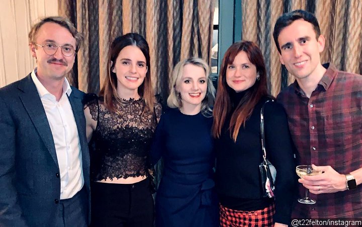 'Harry Potter' Cast Reunite to Give Fans Best Christmas Present - See the Pic